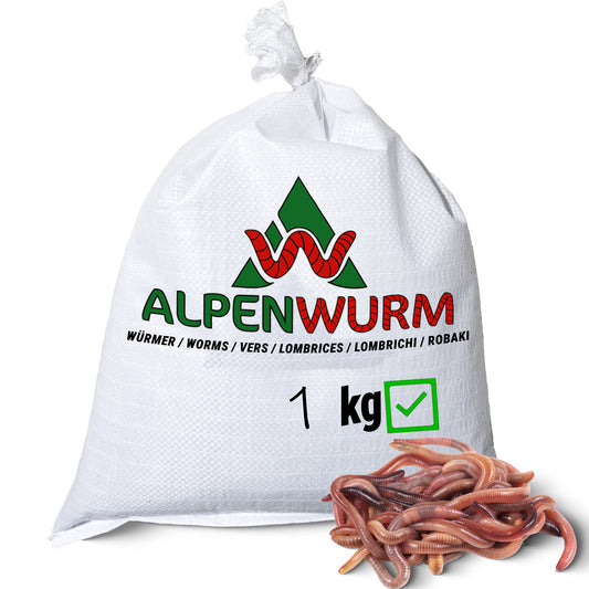 1 kg de vers de votre choix