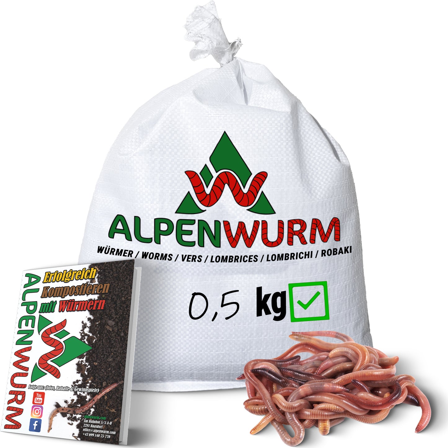 Angelwürmer - Dendrobena (mit Größen - Auswahl)