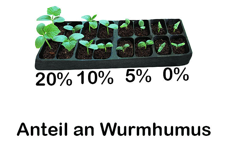 Worm humus / worm compost - 1L | Gift, sample bucket | 100% natural organic fertilizer