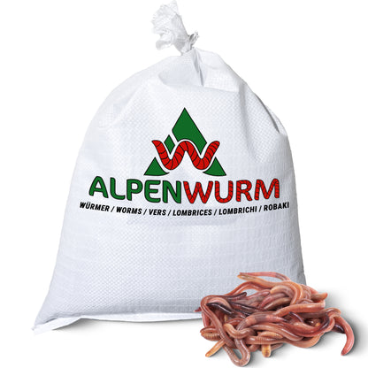 Kompostwürmer - Eisenia Mix