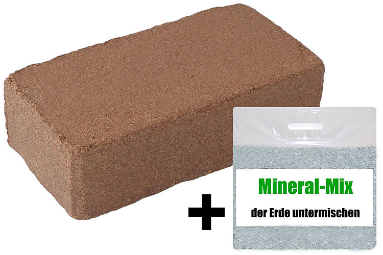 Bloc de noix de coco + additif minéral - substrat pour l'élevage de vers
